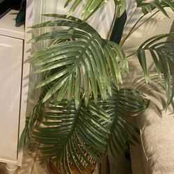 Fake Plant With Stand