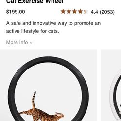 Cat Exercise Wheel - One Fast Cat cat wheel 