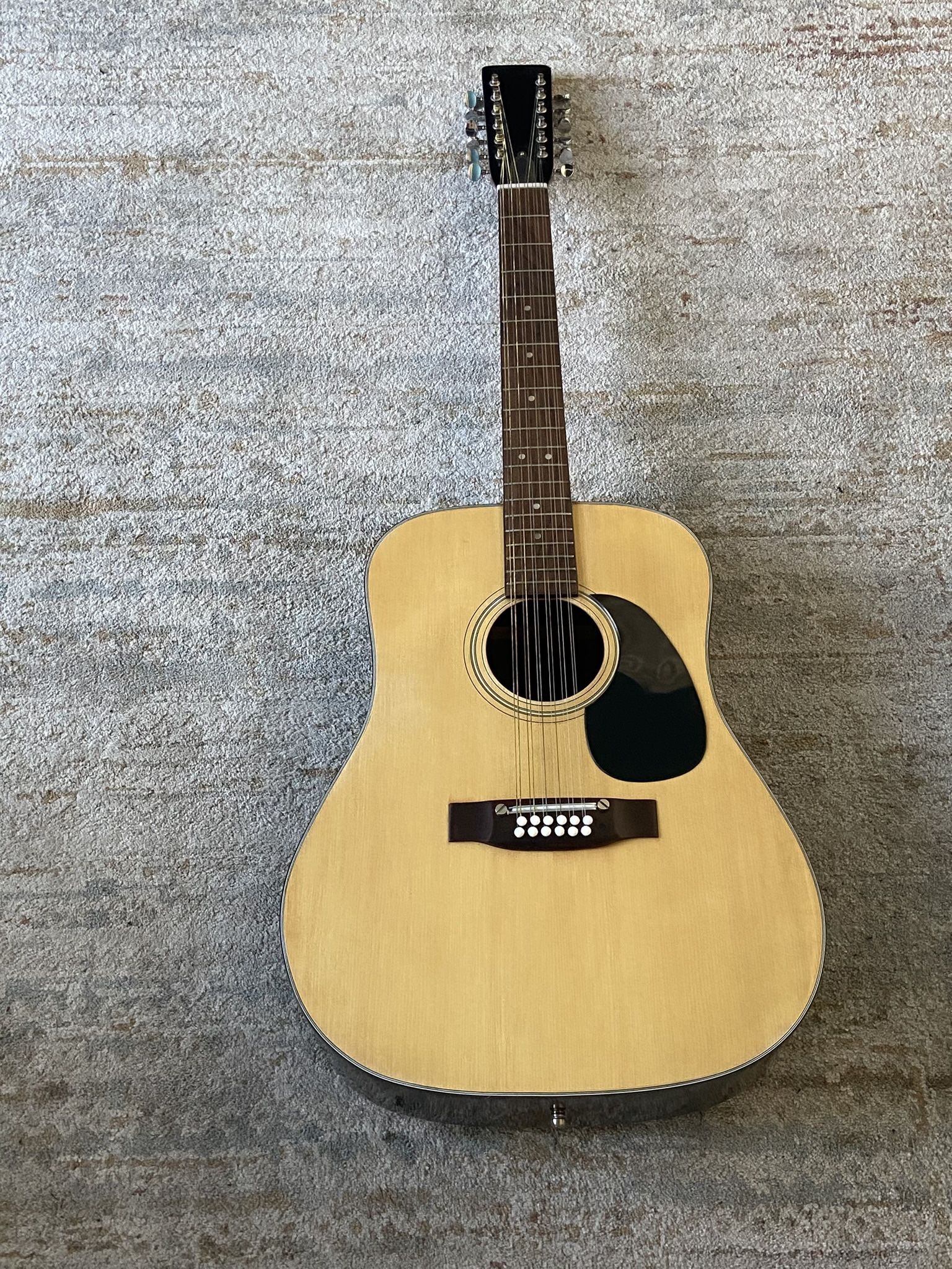 Twelve String Guitar