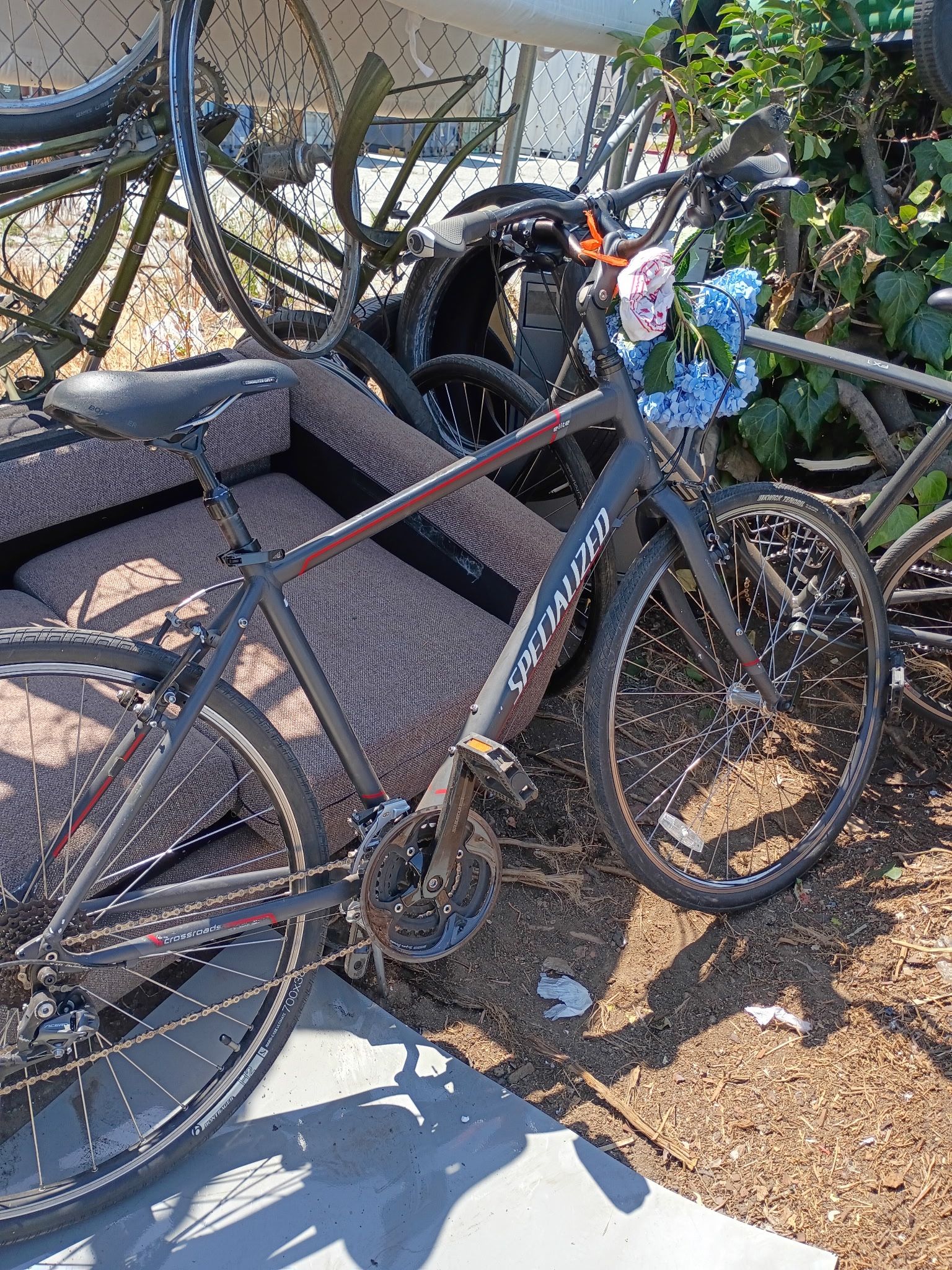 Specialized Elite