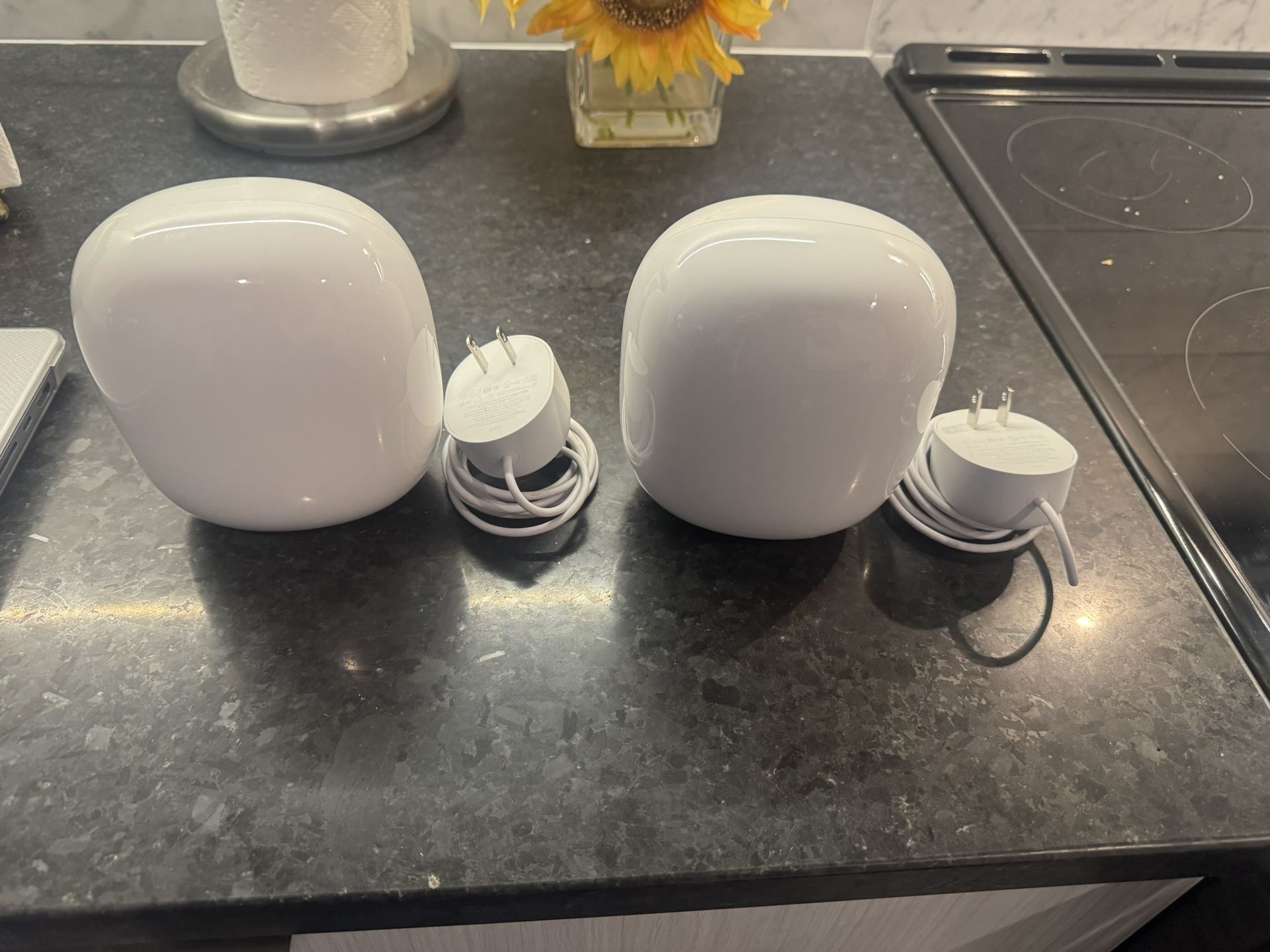 Google Nest Pro 2 Pack