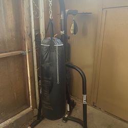 Everlast Punching Bag