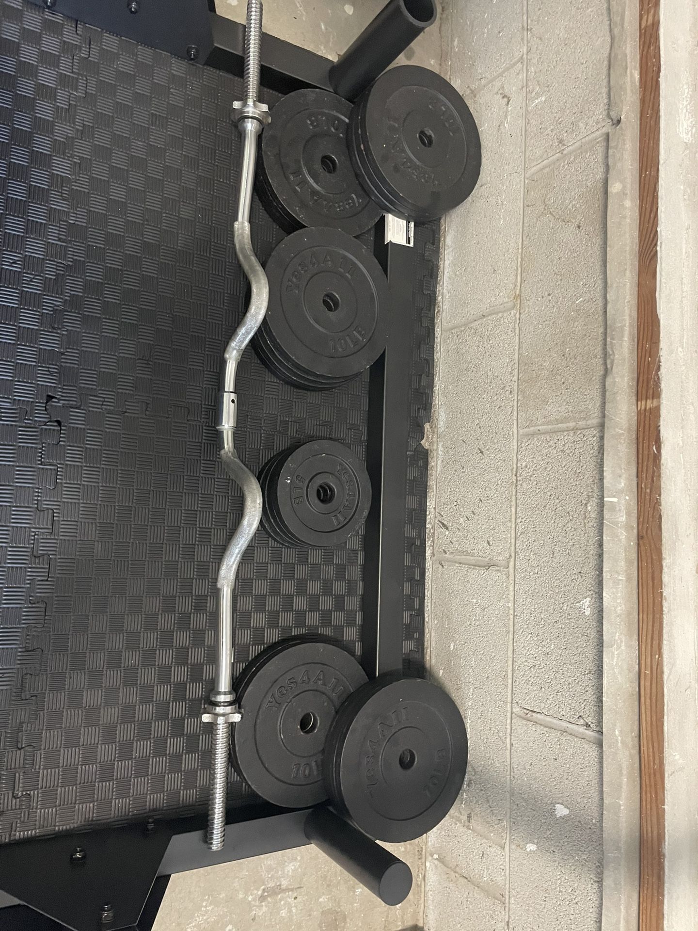 Curl Bar + Weights 