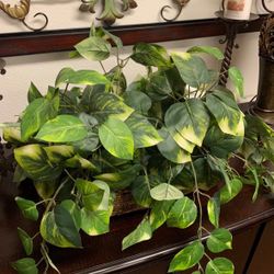 Decor Plant Like New