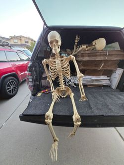 5 FT LED Pose-N-Stay Skeleton