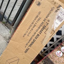 Box Spring Twin