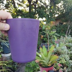 Purple Hose Plant Pot Ceramic