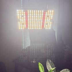 Grow Light