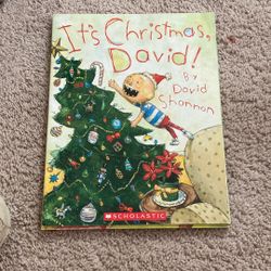 No David Books