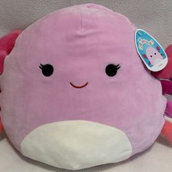 Squishmallow NWT Cailey The Crab 14 Inch $12