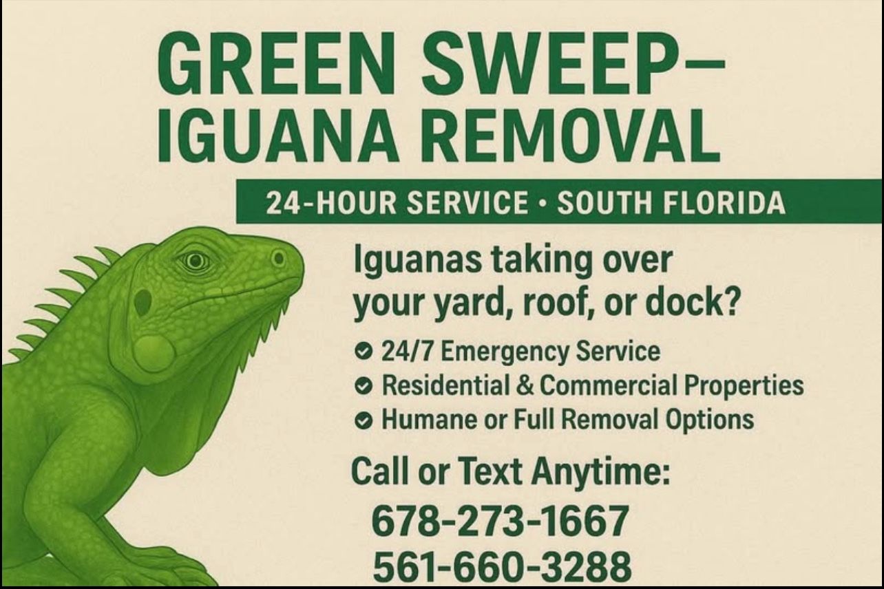 Iguana Removal Service