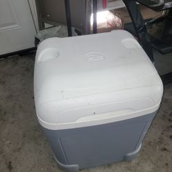 Igloo Cooler With Handle