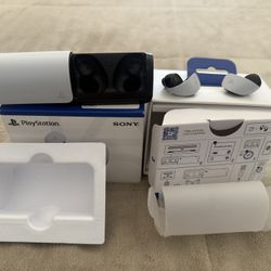 Playstation Earphones