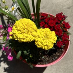 Decórate Flower Pot 🌸🌼🌺🪻🌷