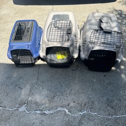 Cat Cages