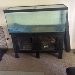 75 Gallon Fish Tank 