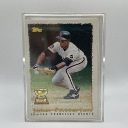 Baseball Cards 95’ Topps Cyberstats 