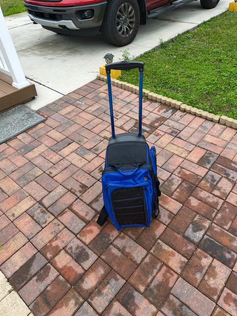 Ladies Bowling Carriage & Ball And Shoes