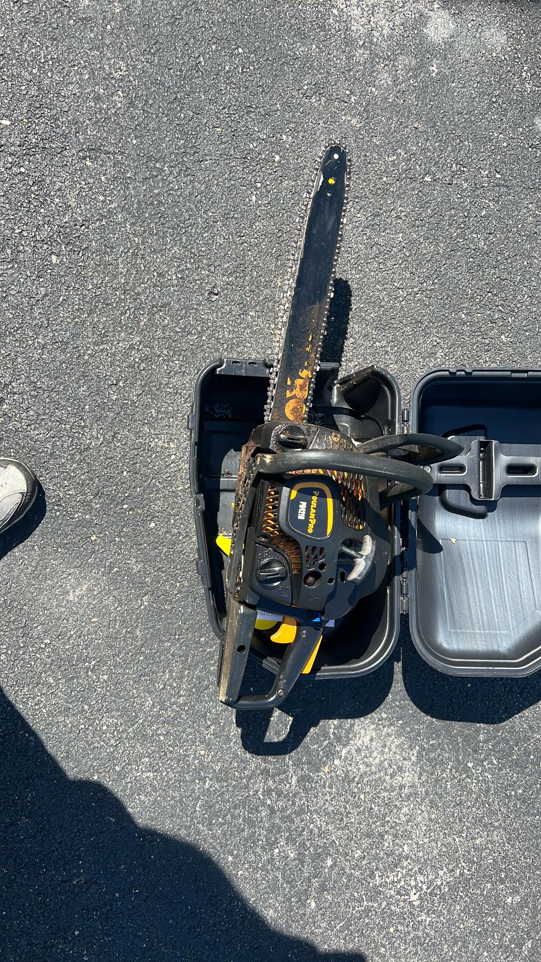 Chain Saw. Works When it Wants To