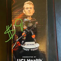 Troy Terry Anaheim Ducks Bobblehead 