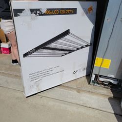Gotta Pro Led 120 -211 V 