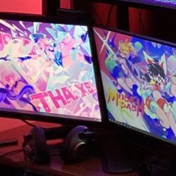 Dual Monitors (Gaming)