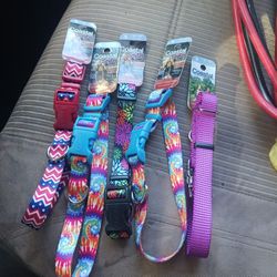 Quality Dog Collars Size Small. 