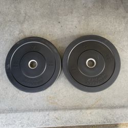 Set of Two Titan Fitness 45 Pound Bumper Weight Plates