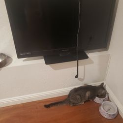 32 Inch Emerson Tv