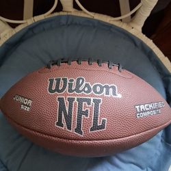 Wilson NFL Ball