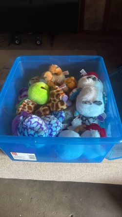 Original Beanie Boo Collection
