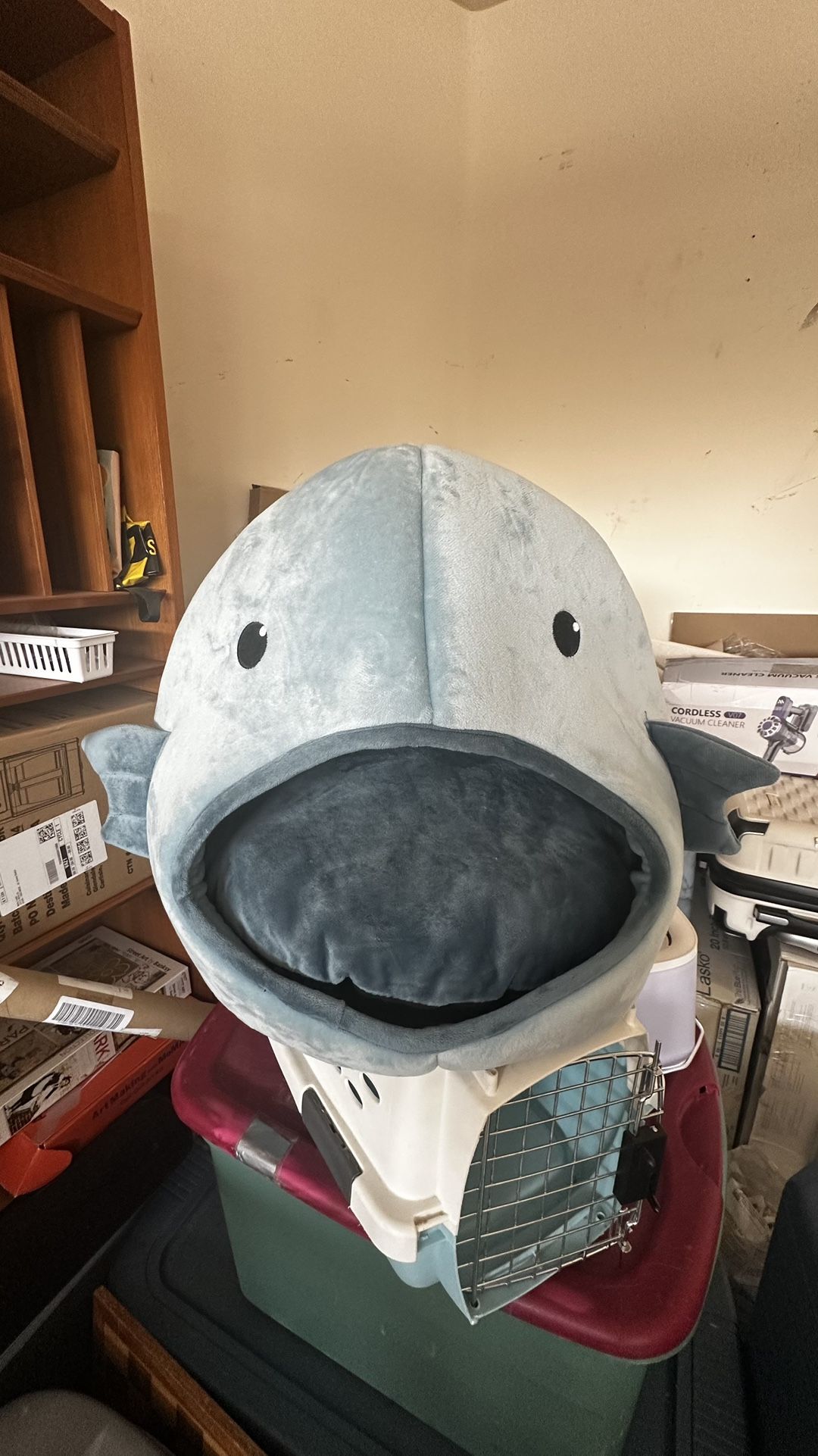 Shark Cat Bed