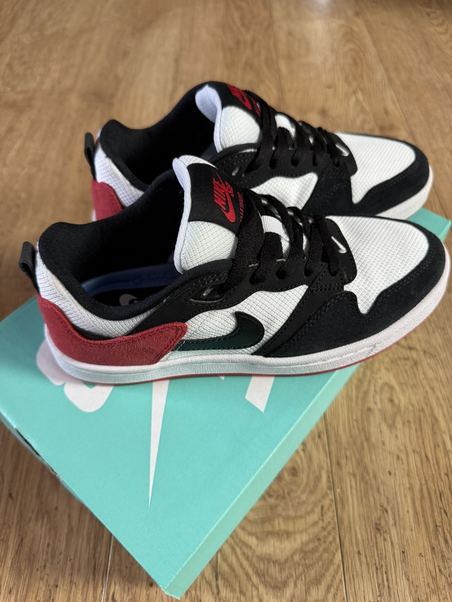 New Nike SB Alleyoop