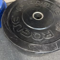Rogue 45 Lbs. Bumper Plates for Weightlifting - Pair