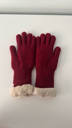 Hiking/Snow Gloves from France. Excellent condition