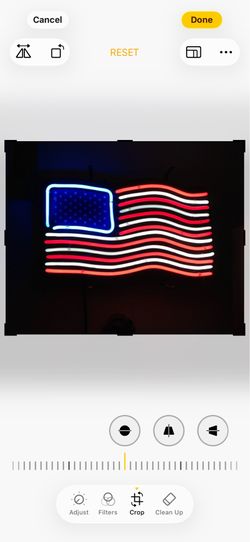 Neon American Flag