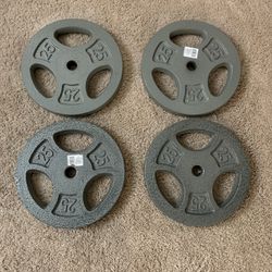Standard Weight Plates - Total 100 Pounds 