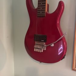 Washburn Guitar 