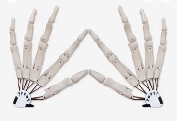 Halloween Skeleton Hands Nightmare Before Christmas 