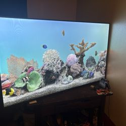 72” Roku Tv