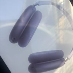 AirPod Max Brand New
