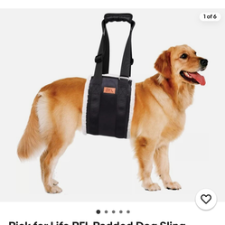 traseras, soporte ajustable para piernas traseras y ayuda de movilidad, soporte de cader