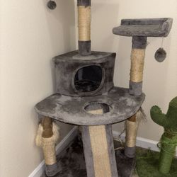 FREE CAT TREE