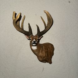 3d Printed 25 Percent Scale Mini Jordan Buck Shoulder Mount