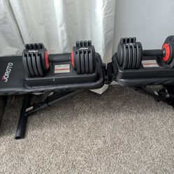 Bench Press
