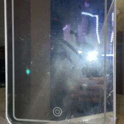 Mini Fridge with mirror 