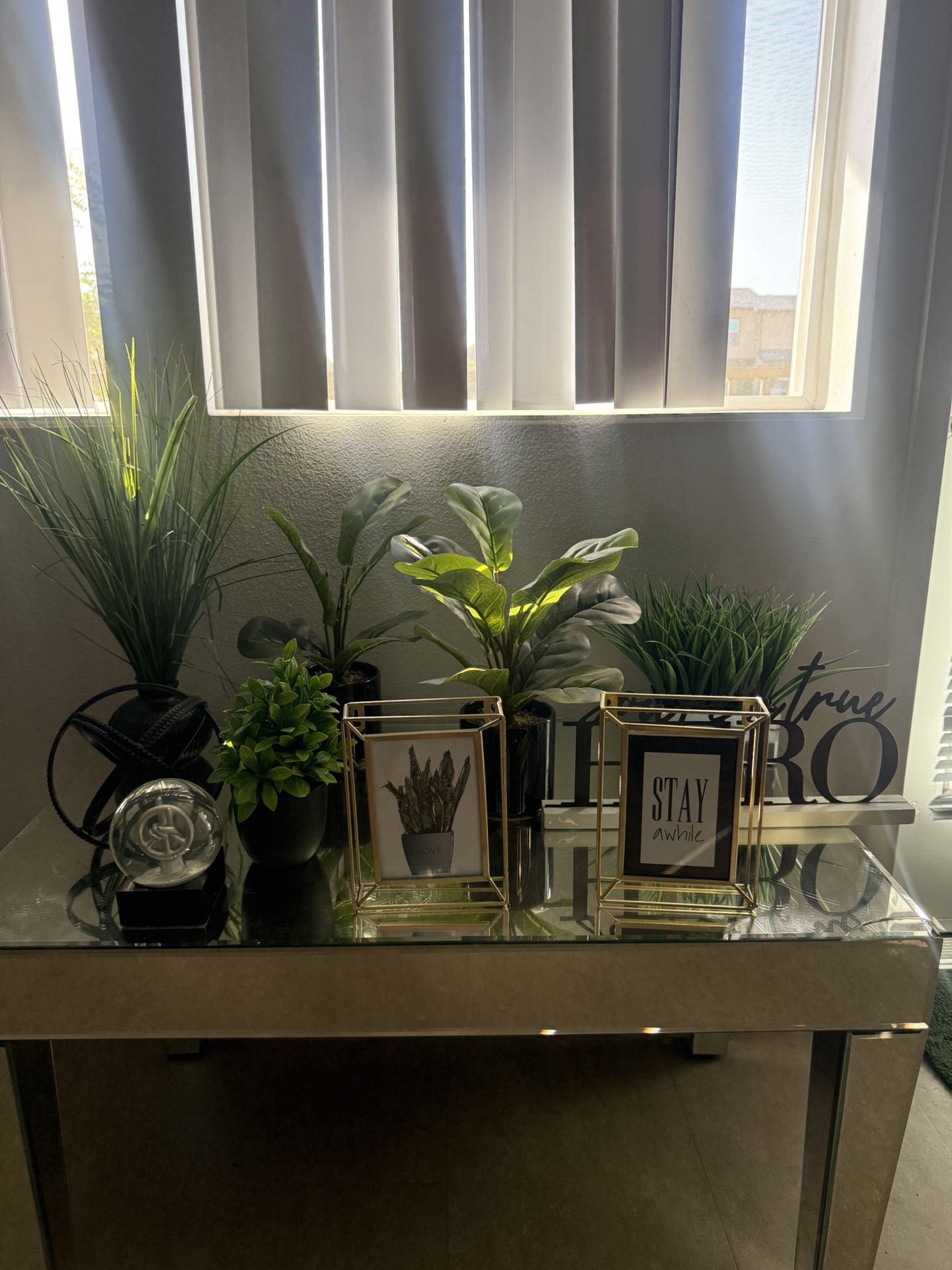 Living Room Plant Decor All For $10