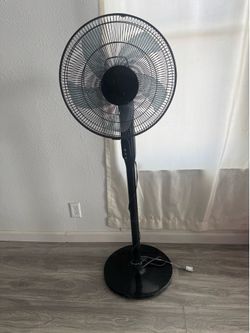 Fan