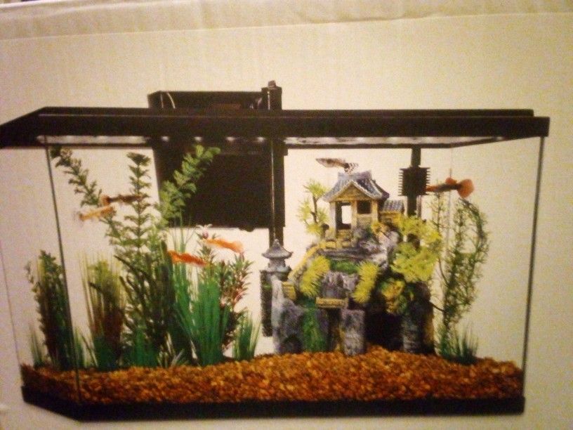 Imagitarium 10 Gallon LED Aquarium Kit