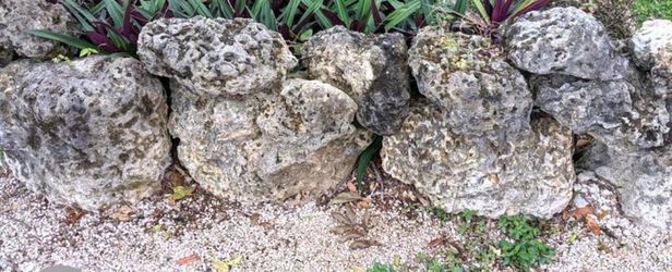 Coral Rock